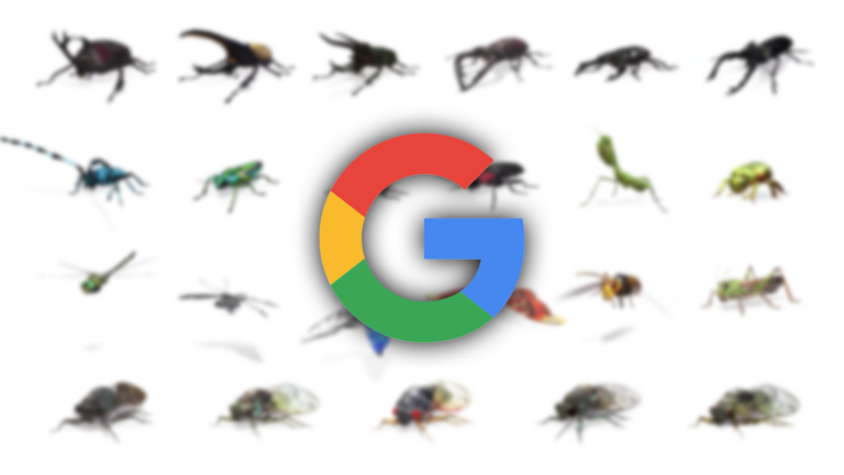 В Поиске Google появились модели насекомых