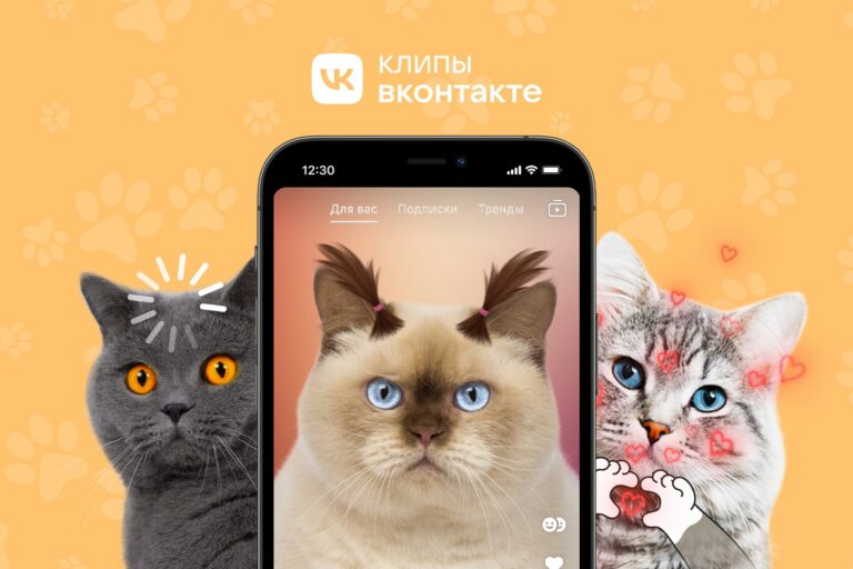 Маски дополненной реальности для котов появились во ВКонтакте